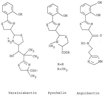 FIG. 10