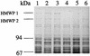 FIG. 8