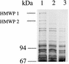 FIG. 6