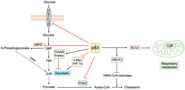 Figure 23