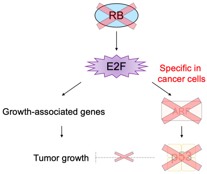 Figure 15