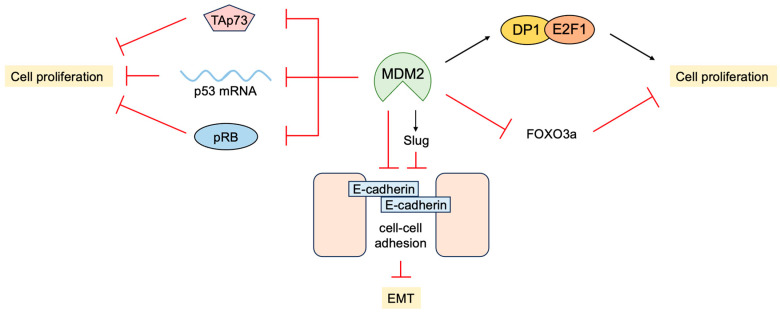 Figure 18