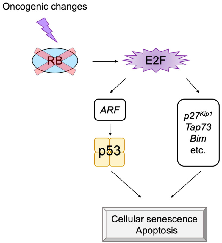 Figure 14