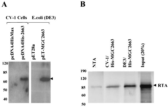 FIG. 5