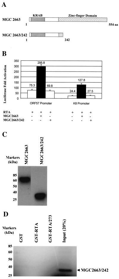 FIG. 8