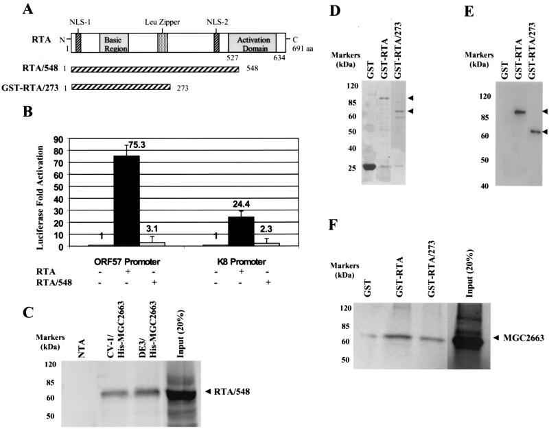 FIG. 7