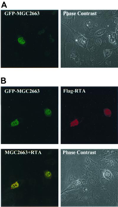 FIG. 9