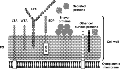 FIG. 2.