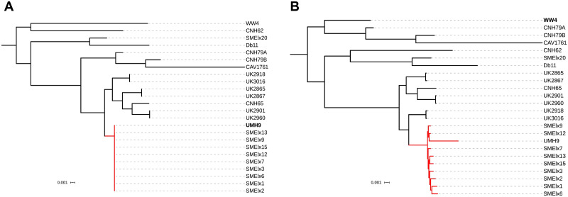 Fig 11