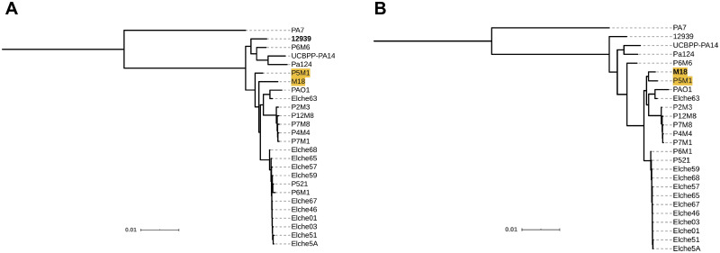 Fig 10