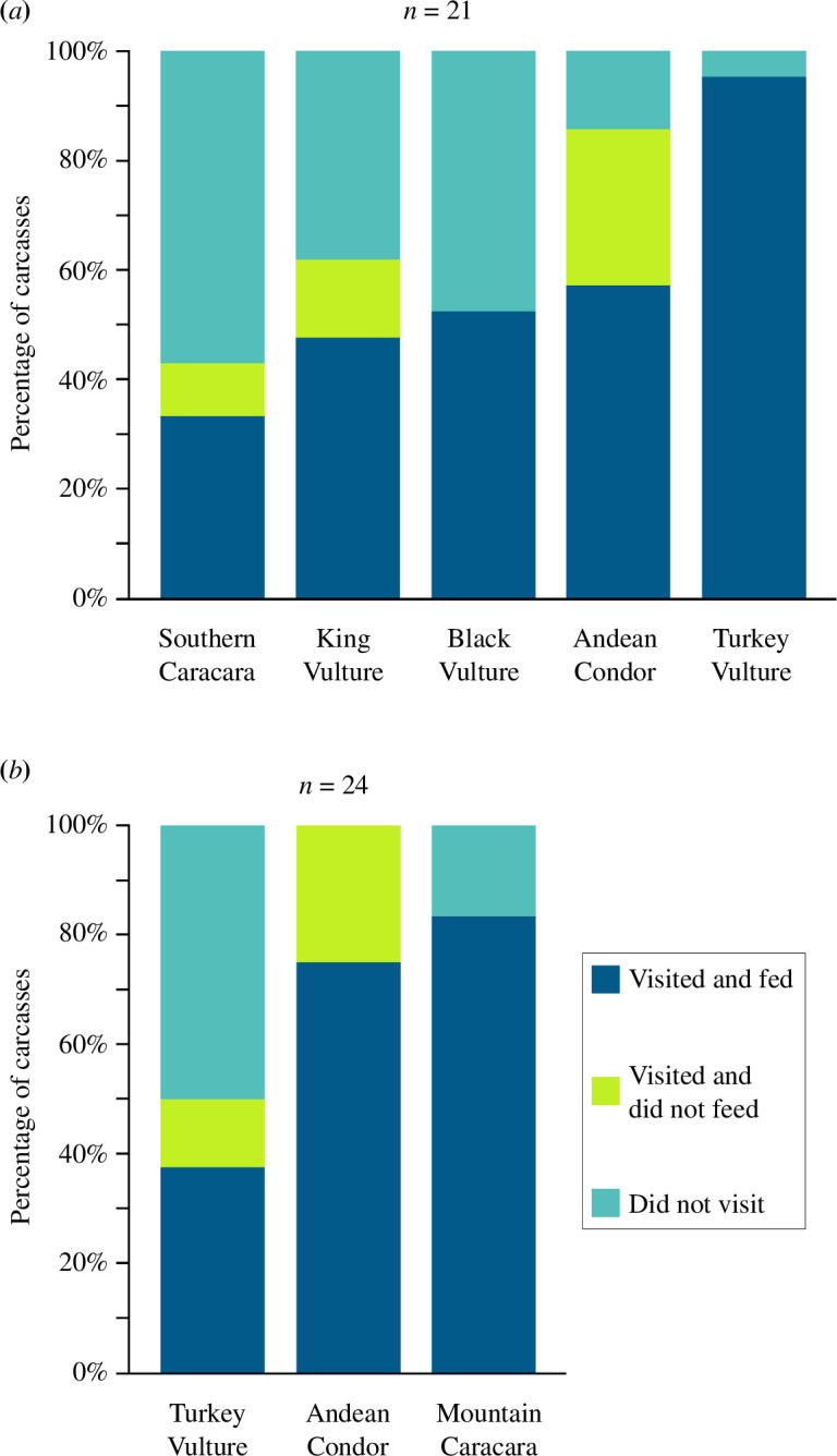 Frequency of use of the 45 carcasses by the studied avian scavenger species, in the five-species guild