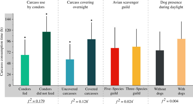 Average consumption time of the 45 placed carcasses depending on its use by Andean condors