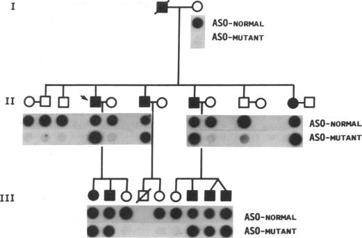 graphic file with name pnas01042-0100-a.jpg