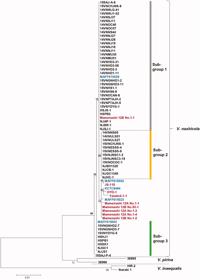 Figure 4.