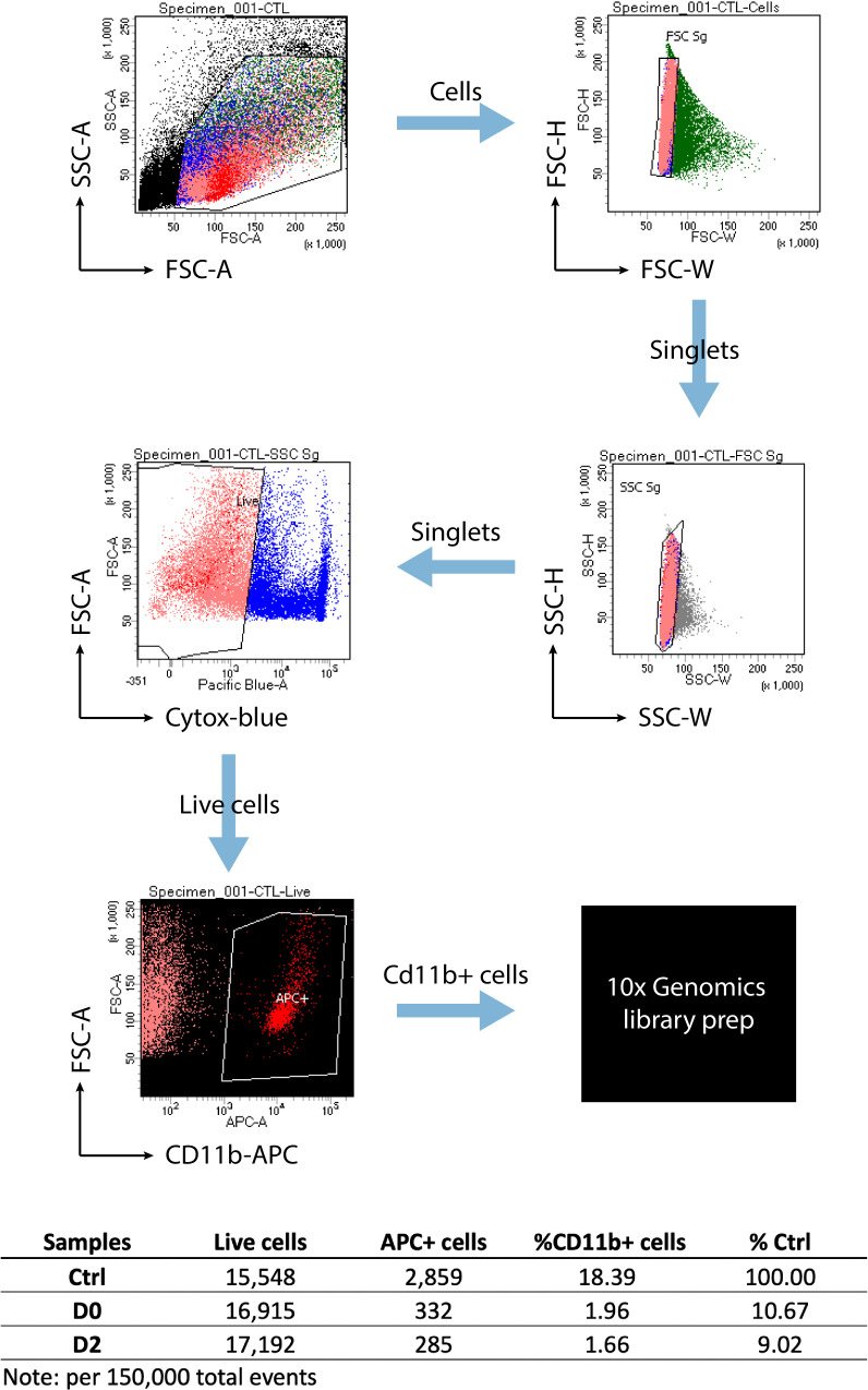 Figure 1—figure supplement 1.