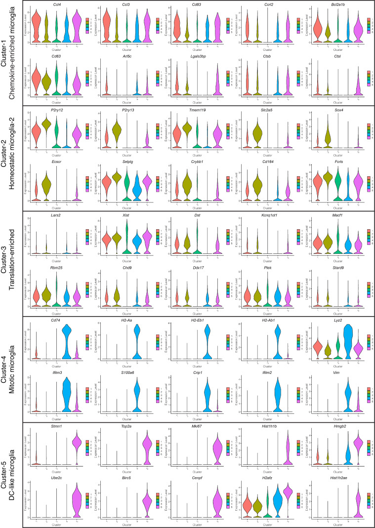 Figure 2—figure supplement 1.