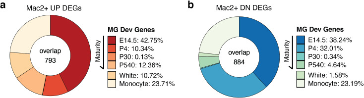 Figure 6—figure supplement 1.