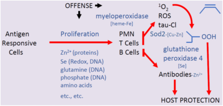 Fig. 4