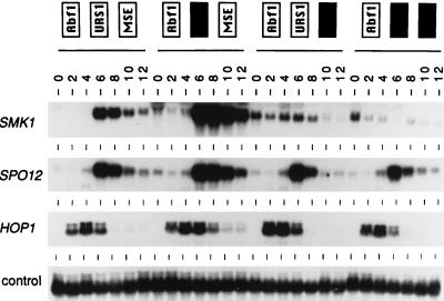 FIG. 5