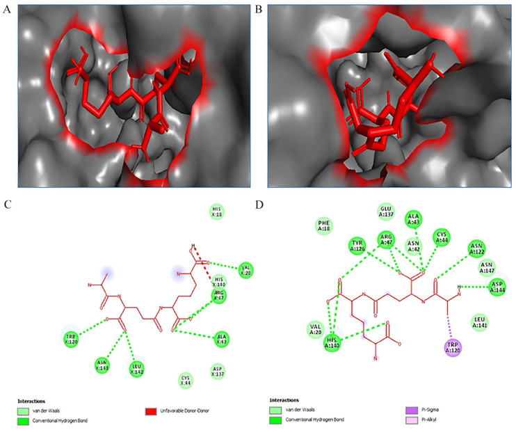 Figure 10.