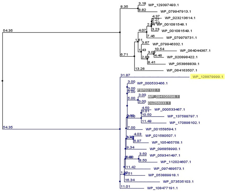 Figure 3.