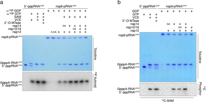 Extended Data Fig. 6