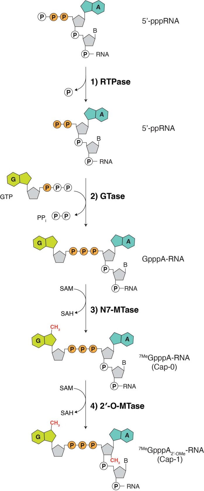 Extended Data Fig. 2