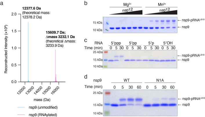 Extended Data Fig. 4