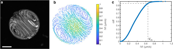 Fig. 8