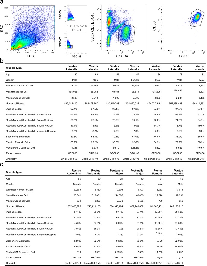 Figure 1—figure supplement 1.