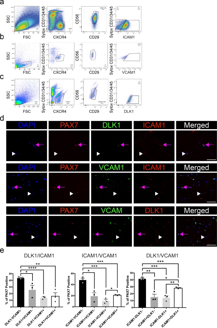 Figure 2—figure supplement 2.