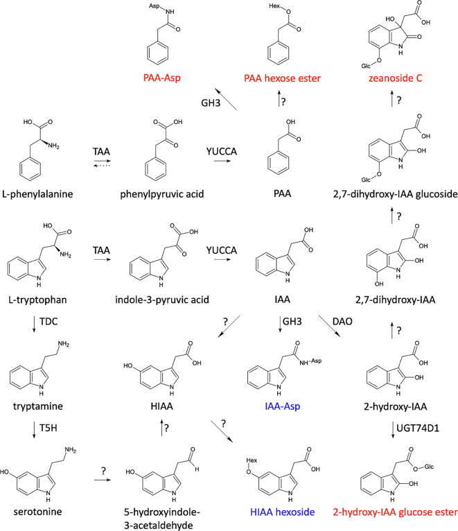 Fig. 6