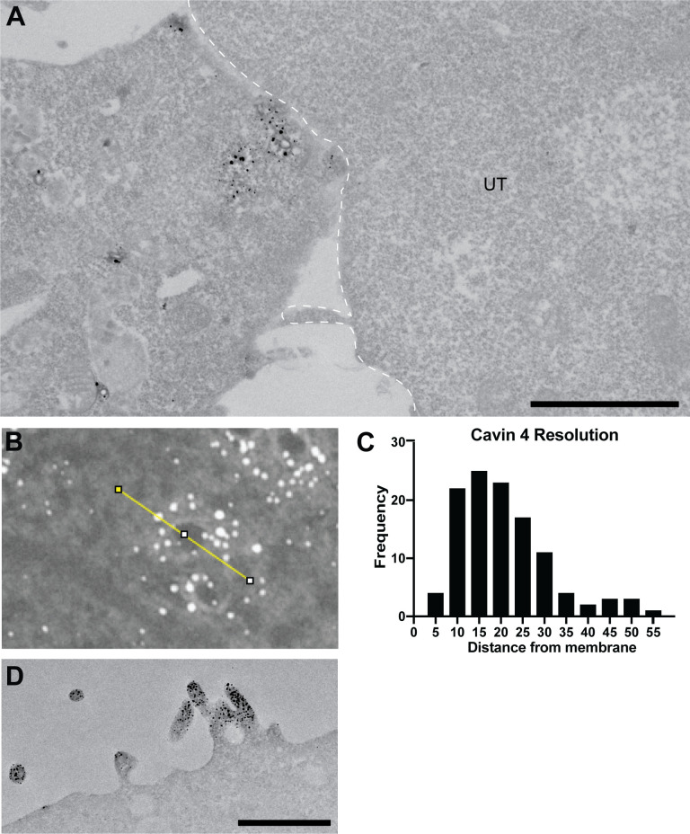 Figure 1—figure supplement 2.