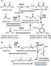 Fig 49.