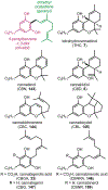 Fig. 41.