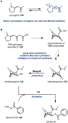 Fig. 38.