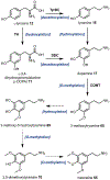 Fig. 21.