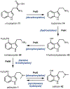 Fig. 13.