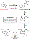 Fig. 14.