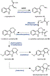 Fig. 17.