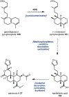 Fig. 29.