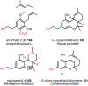 Fig. 42.