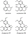 Fig. 54.