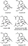 Fig. 51.