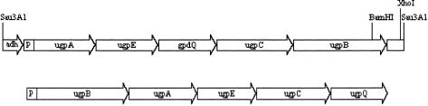 FIG. 3.