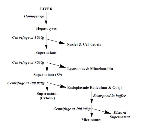 Fig. (1)