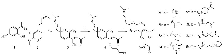 Scheme 1