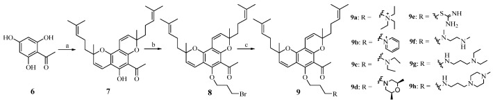 Scheme 2