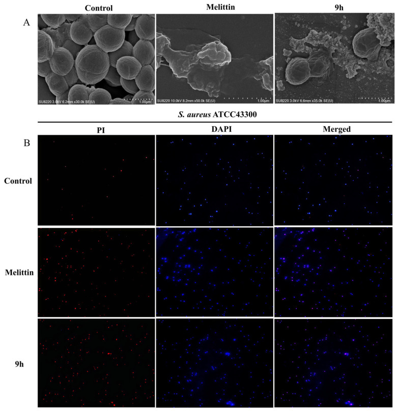 Figure 6