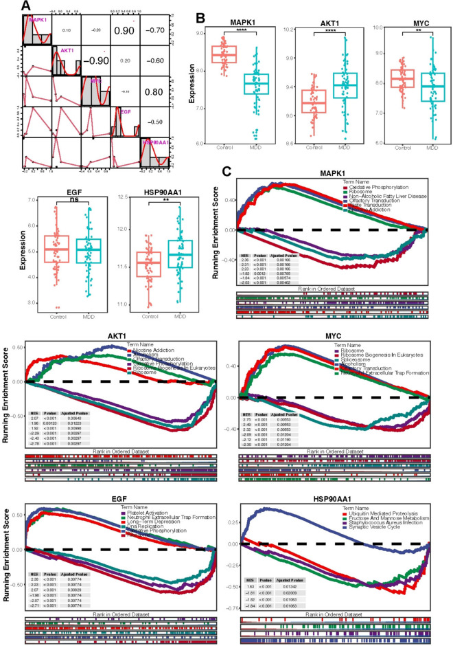 Fig. 7